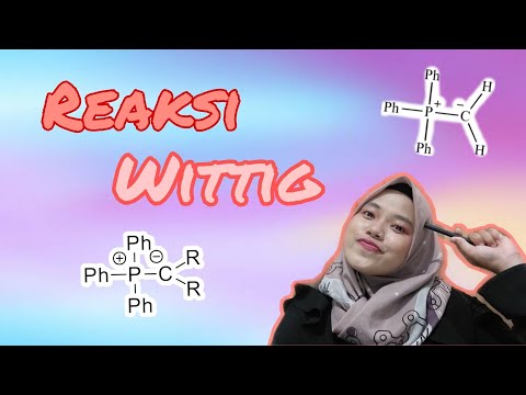 Video: Apa zat antara yang terbentuk dalam reaksi wittig?