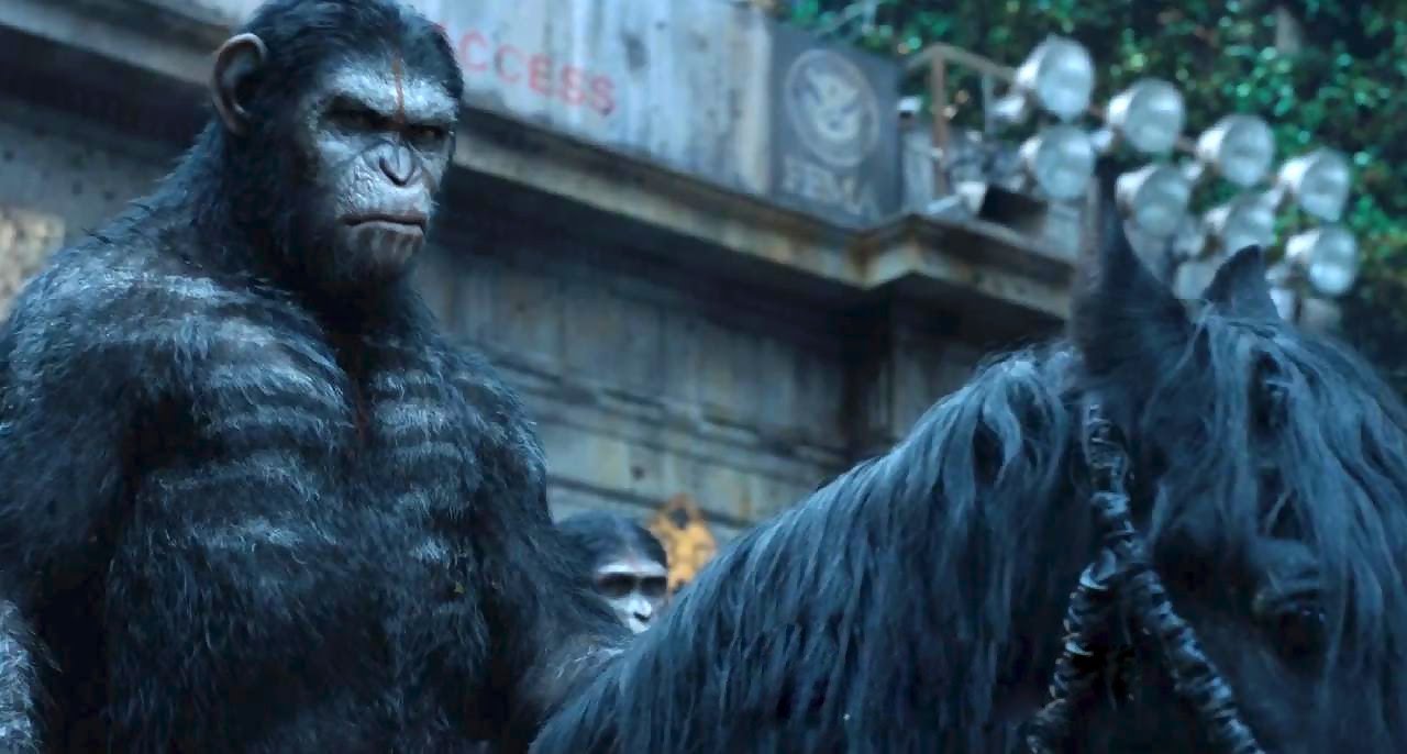 TÉLÉCHARGER LA PLANÈTE DES SINGES LAFFRONTEMENT AVEC UTORRENT LAFFRONTEMENT DES LA TÉLÉCHARGER UTORRENT AVEC SINGES PLANÈTE