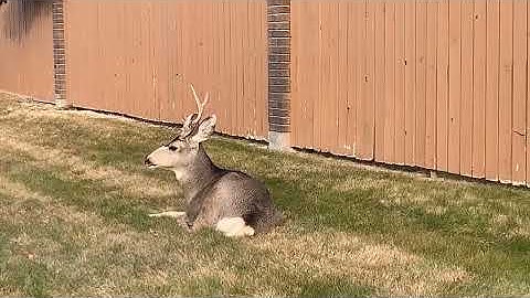 Welcome to Todays Broadcast