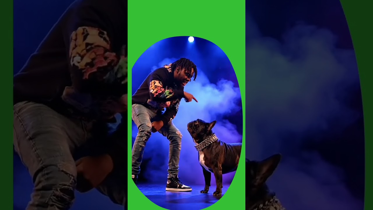 me vs my dog rap battle me is win