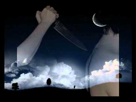 فيصل علوي الناس اجناس 