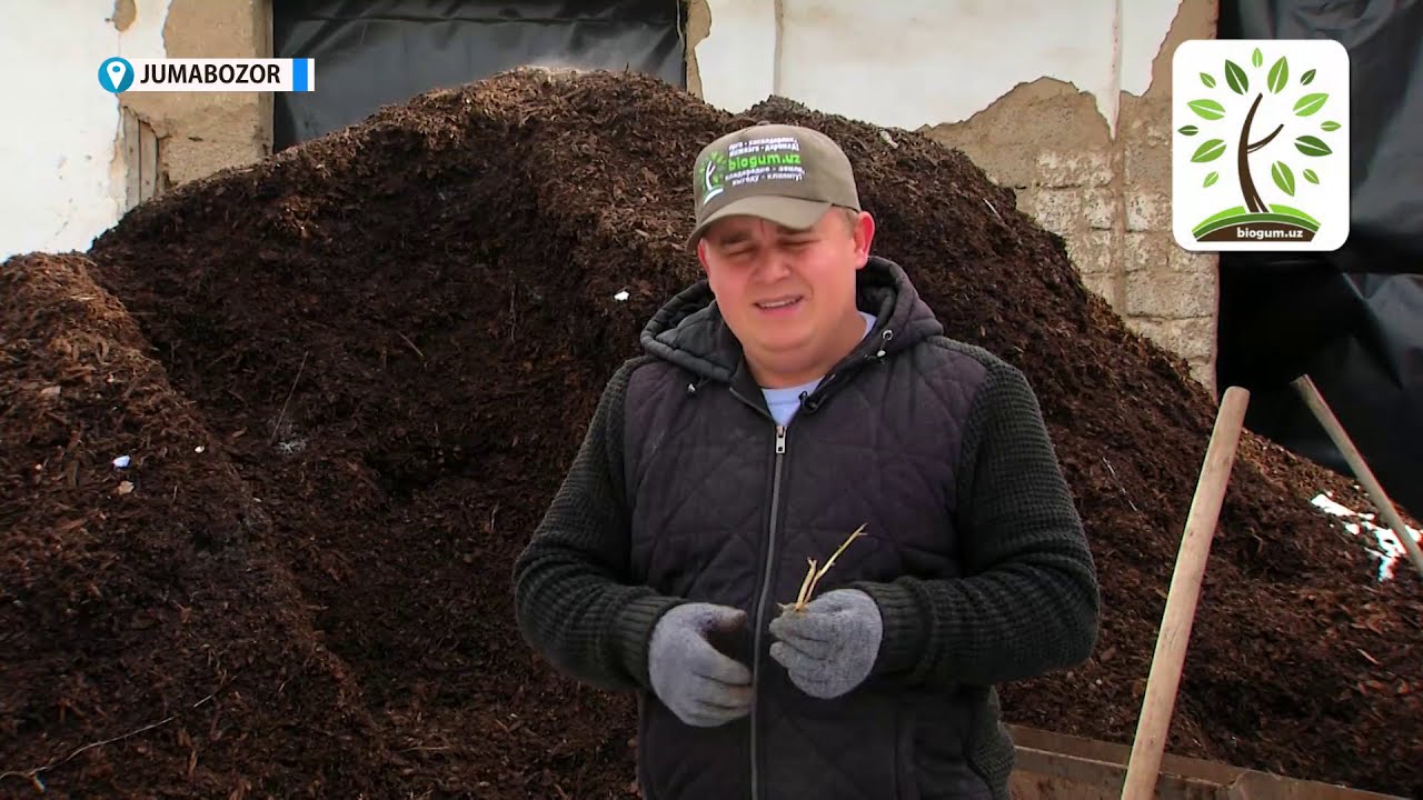 Уй шароитида компост тайёрлаш ҳақида Пётр Плехановдан ажойиб маҳорат дарси👏