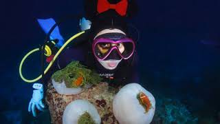 Maldives Diving 2017 Crazy Diver Taiwan
