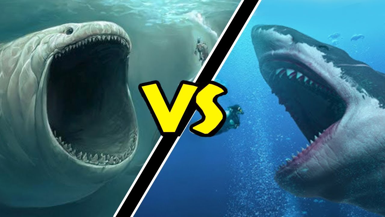 Youtube Video Statistics For Megalodon Shark Vs Cruise Ship Roblox Sharkbite Noxinfluencer - escape from megalodon attack in sharkbite roblox