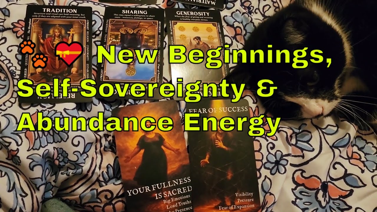 Karma Cat Blesses This Reading🐾💝 New Beginnings, Self-Sovereignty & Abundance Energy #TarotReading