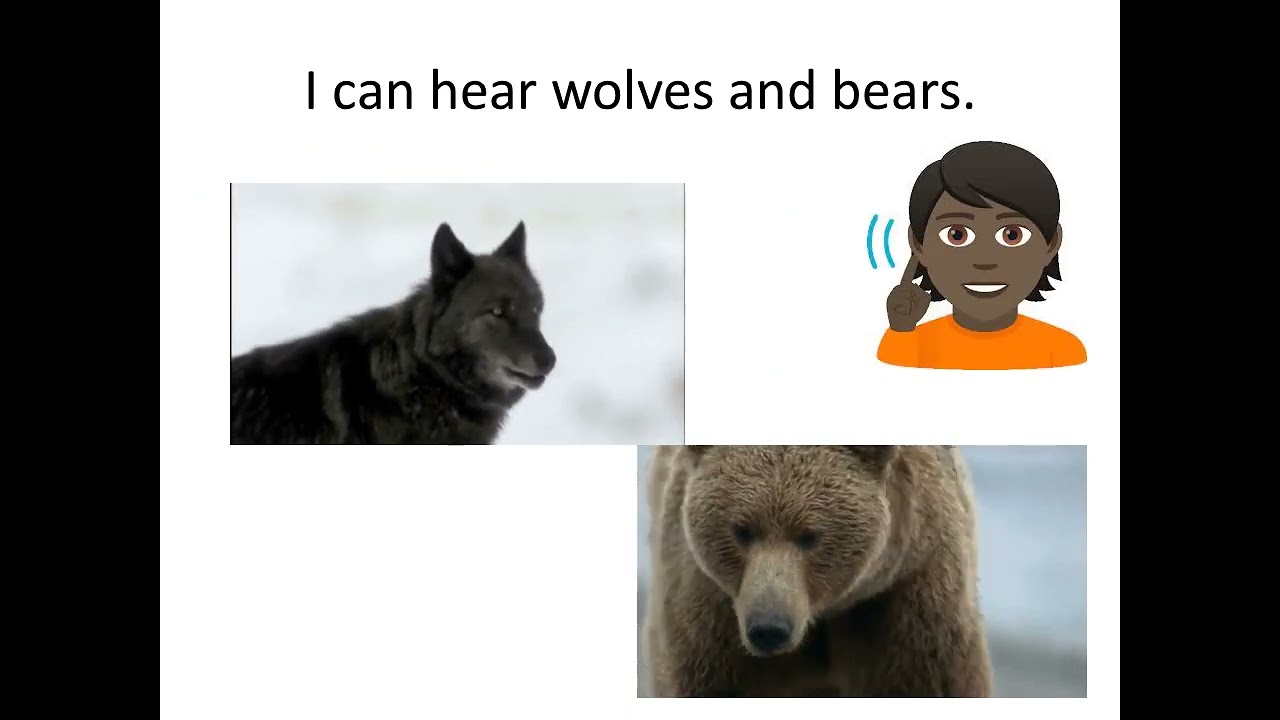 Academy Stars 2 unit1 Zoom around the world song