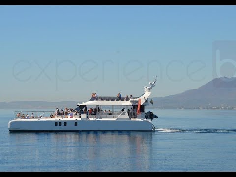 Catamaran Marbella with Experience Box Spain