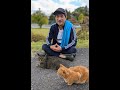 上祐史浩、ネコと戯れる。#shorts #cat #animals #cute
