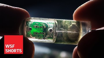 The Future of Ingestible and Implantable Technologies