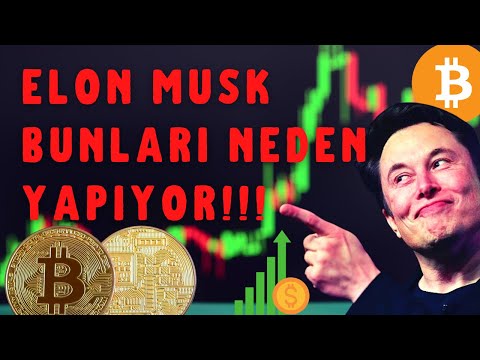 ELON MUSK'IN BÜYÜK