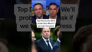 Top Democrat: We’ll probe Elon Musk if we take Congress