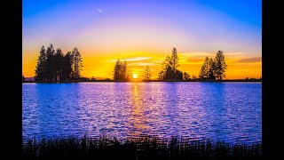 🔅​🌞​Leat'eq - Sunrise ​🎵​