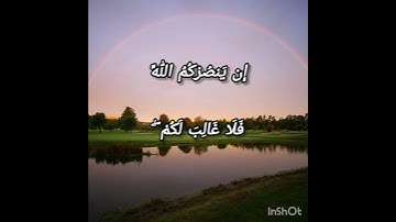 الآية 160 من سورة آل عمران بصوت الشيخ سامي الغربي #quran #allah #قرآن#القرآن_الكريم #islamicvideo