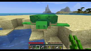 Operation: Ocean #3 We Like Turtles!