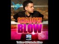Shadow Blow -- Ni Virgen Ni Santa (2013)