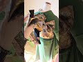 【振袖帯結び】🔰超簡単！ひたすら三ツ山ひだで帯結び！成人式におすすめ【簡単結び】