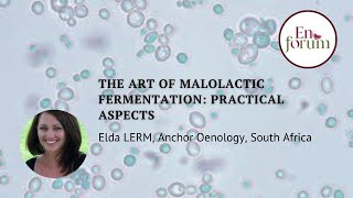 The Art of malolactic fermentation: practical aspects