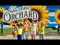 Сад-огород в Лас Вегасе🍏🥬🍅Gilcrease Orchard 🍓🥒🧅Аня и ее друзья🙌провели день вместе🫶🏻собрали урожай🤩
