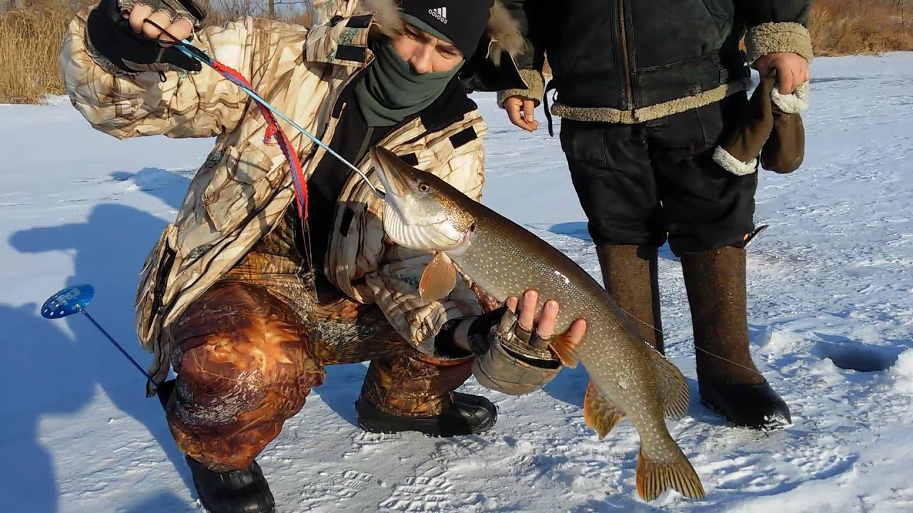 Можно ли ловить щуку в марте