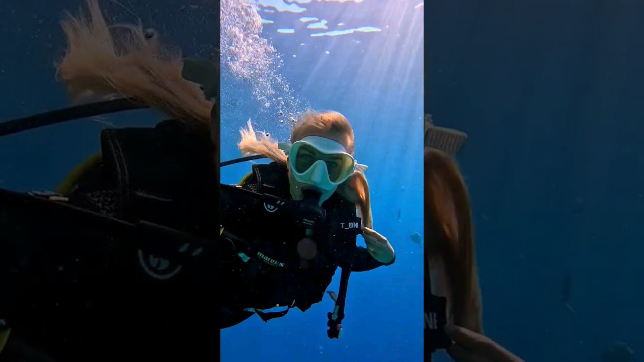 Dive With Irina 😘❤️🧜‍♀️ 