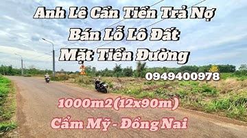 Chủ ngộp Bank đành bán lỗ đất Mặt tiền đường XB-XT 1000m2 (12×90) tại Xuân Tây, Cẩm Mỹ, Đồng Nai