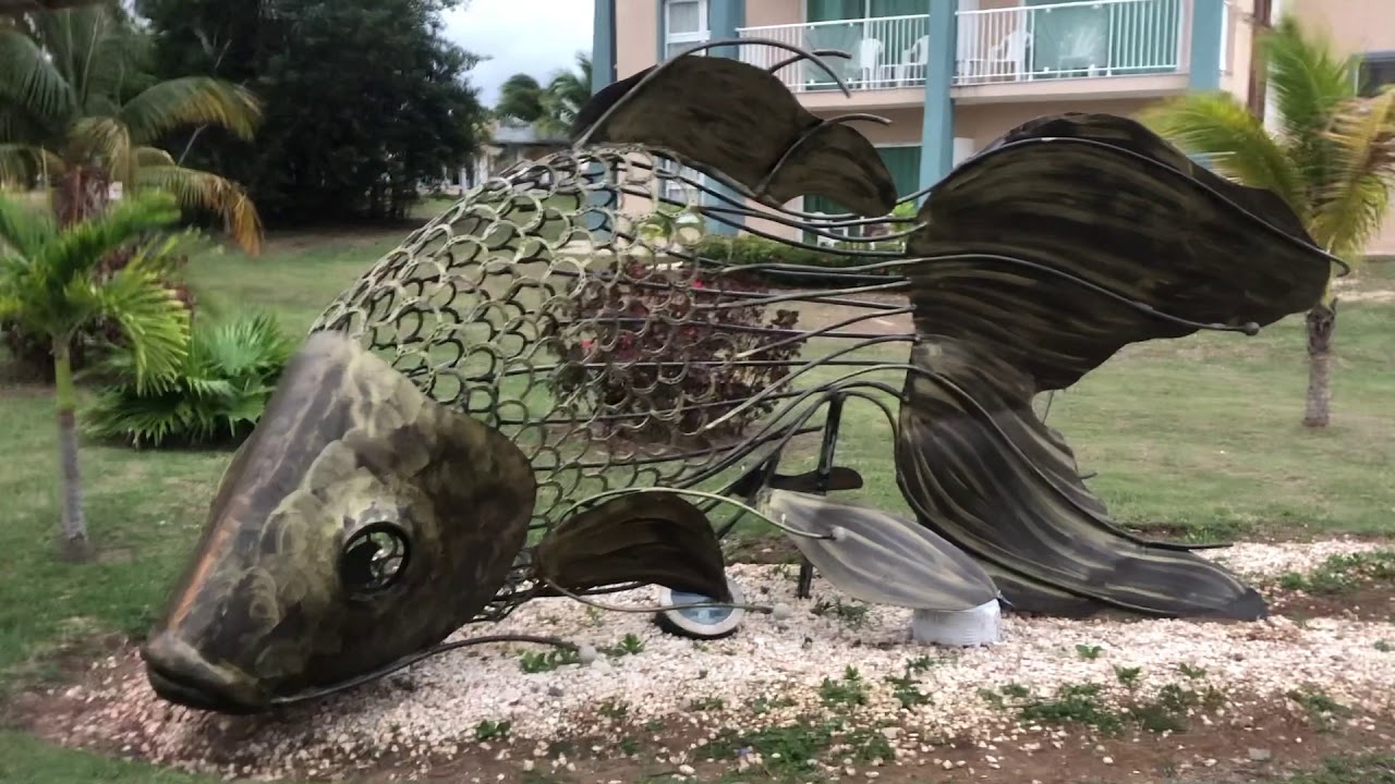 Прогулка по Melia Jardines Del Rey 02.02.2020