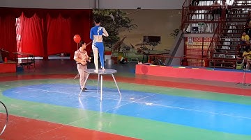 Rạp xiếc Đầm Sen sân khấu 1000 chỗ đủ tiết mục xiếc thiếu nhi, xiếc thú (VietSub)