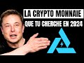 Voici enfin la crypto x1000 que tu cherche algowave  tout savoir 