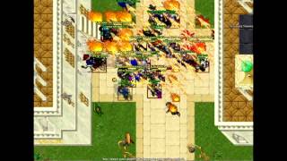 TIBIA IRMADA - PELEGANDO