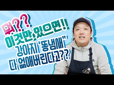 [이개뭐개] 강아지 용품 제품 리뷰 / 똥 오줌 냄새 제거하는 비법 아이템!!