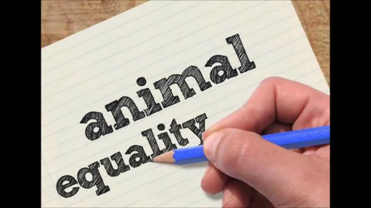 Cosmetic testing on animals