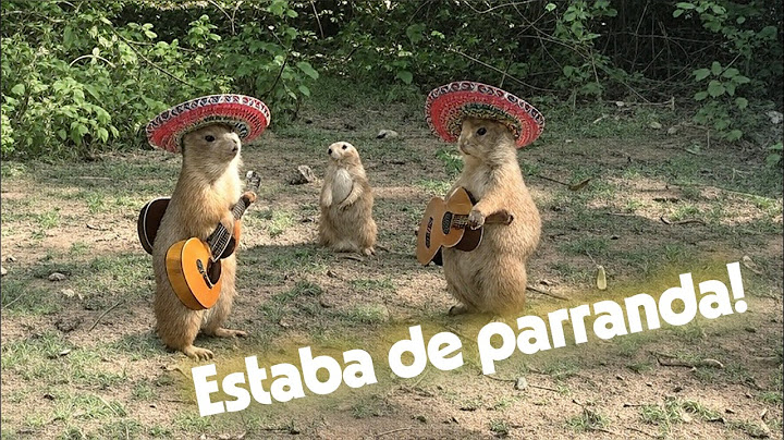 Gordita estaba de fiesta