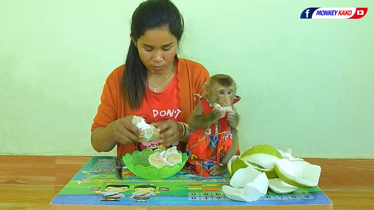 Baby Monkey | Cutie Luna Walking To Kitchen Room Eats Orange Fruit