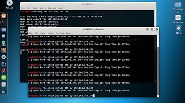 0Day IIS 2020 Exploit Python