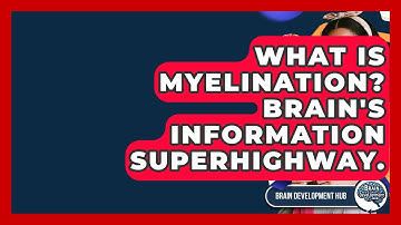 What Is Myelination? Brain