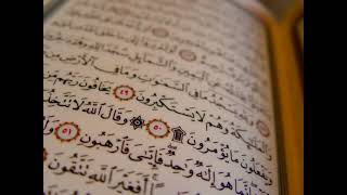 مصطفى اللاهونى - سورة الحديد