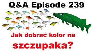 Download Lagu Q\u0026A odcinek 239 - Jak prawidłowo wybrać kolor przynęty? MP3