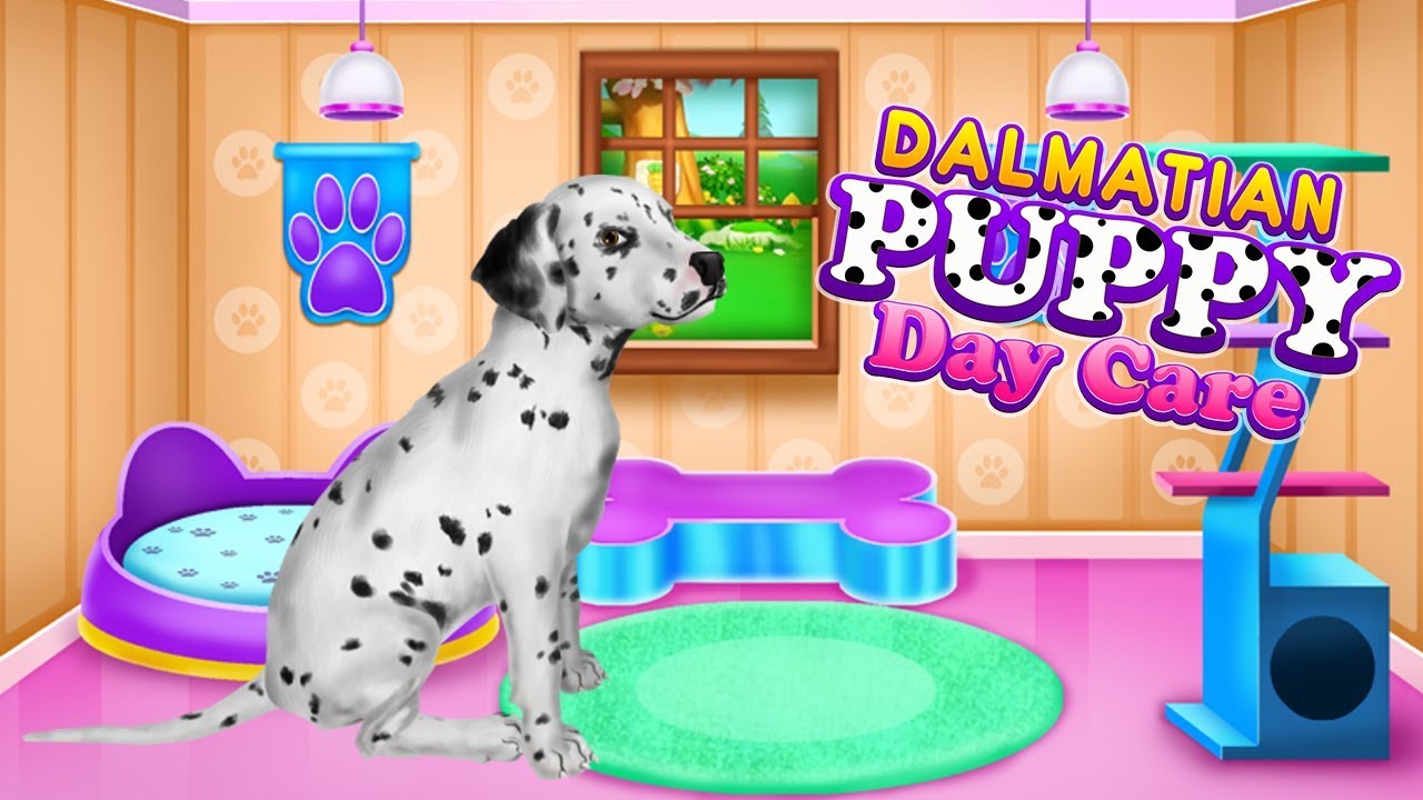 Dalmatian Puppy Day Care YouTube