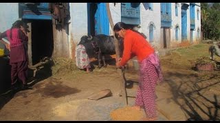 कुछ ऐसी होती है पहाड़ गाँव की खुबसूरत दिनचर्या - एक डॉक्यूमेंटरी ! Pahad Village Life