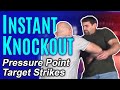 Instant Knockout Using Pressure Points Strikes | Self Defense Moves | FightFast