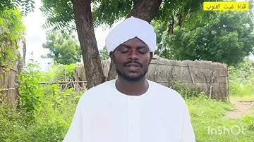 اجمل  الاصوات سورة الرحمن كاملة _ المقرئ : علي ابوبكر 