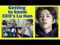 EXO (엑소) | A GUIDE TO EXO'S LU HAN | Reaction video by Reactions Unlimited