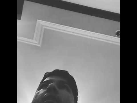 قسمت اول آلبوم یاد حصین منتشر شد