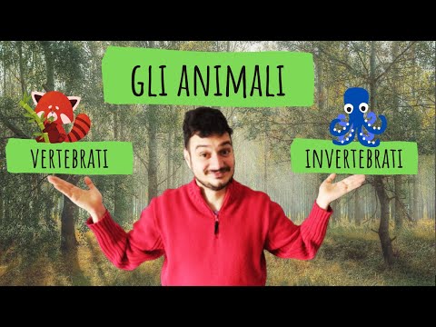 ANIMALI VERTEBRATI E INVERTEBRATI - Le scienze spiegate ai bambini di scuola primaria