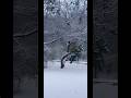 Beautiful first snowflakes of 2025. #snow #winter #beautiful #nature #calm #toronto