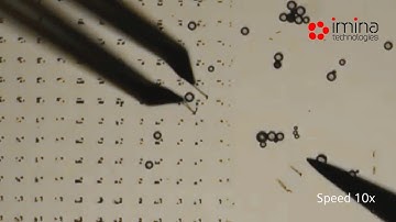 Particles Manipulation and Sorting with a Micro-Gripper on a Mobile Robot