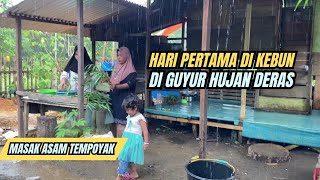 Hari pertama di kebun,tak di sangka kondisi kebun seperti ini