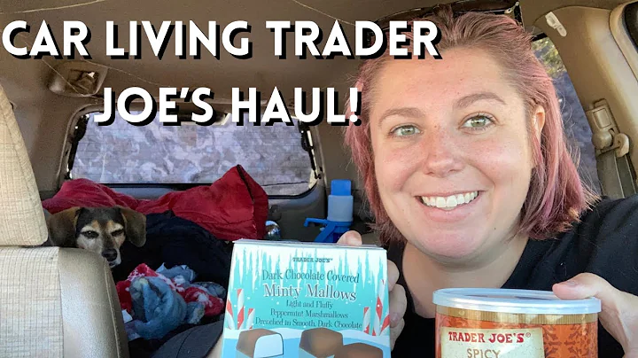 TRADER JOES HAUL with a side of sad (vlogmas day 12)