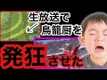 【スッキリ】生放送中に鳥籠してきた坊やを返り討ちに【ウイイレアプリ2020】