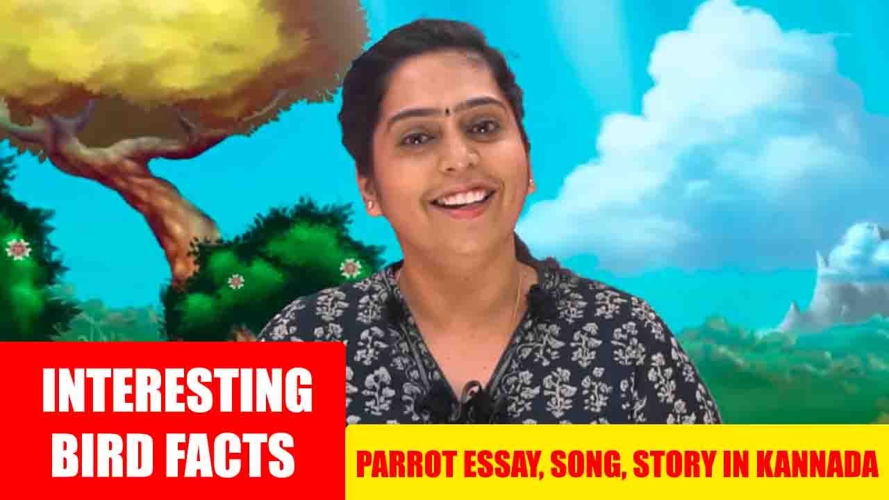 essay of parrot in kannada
